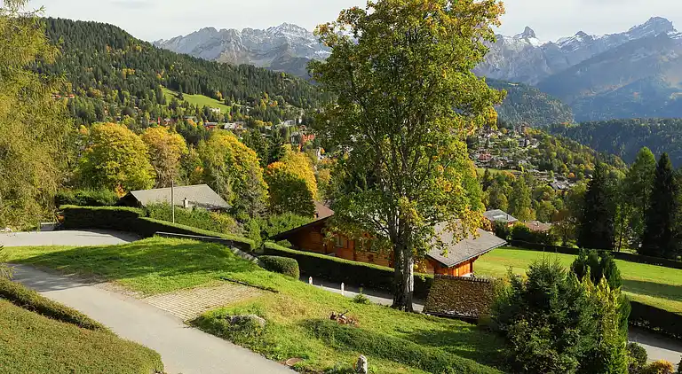 Holiday home in Ollon