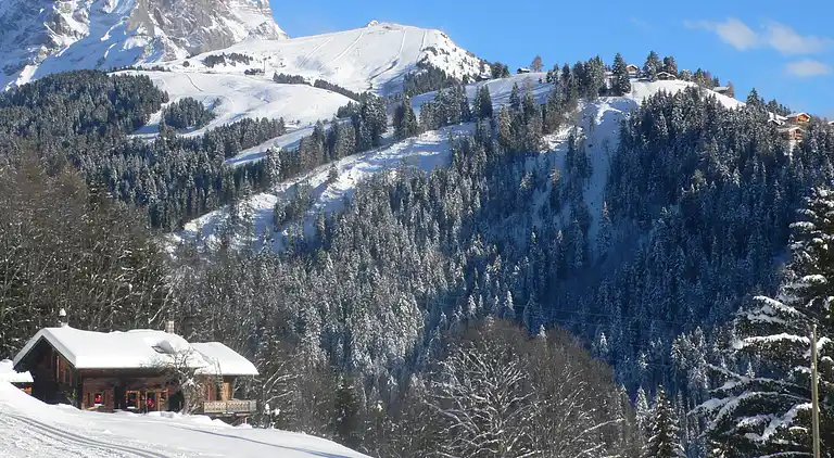 Holiday home in Huémoz