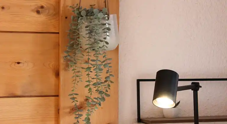 Feriebolig i Huémoz