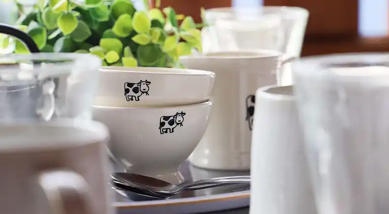 Feriebolig i Huémoz