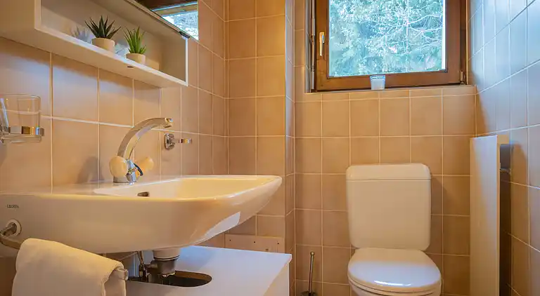 Feriebolig i Leytron