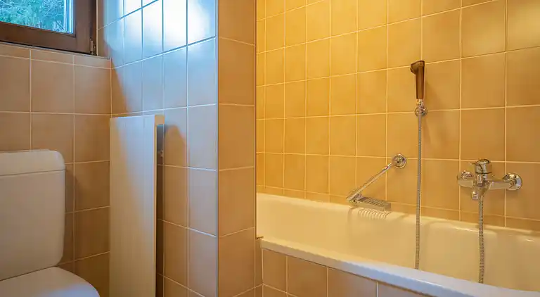 Feriebolig i Leytron