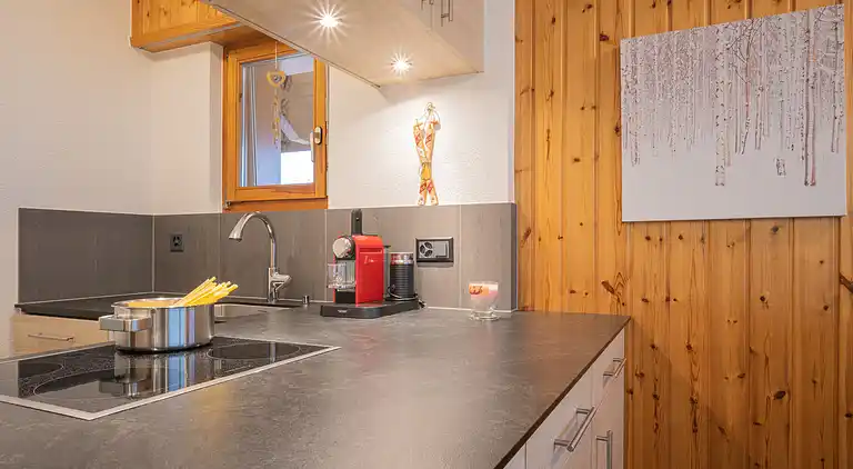 Feriebolig i Leytron