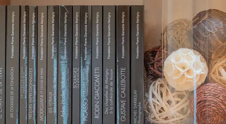 Feriebolig i Leytron