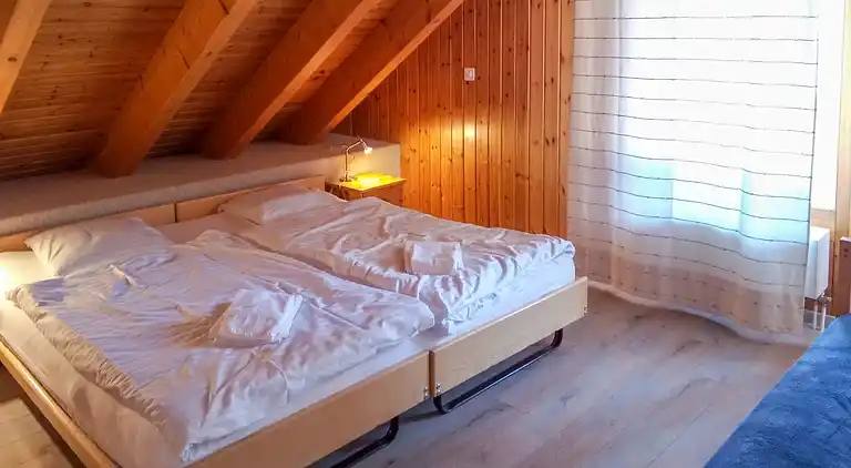 Feriebolig i Ovronnaz