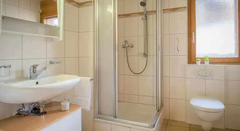 Feriebolig i Leytron