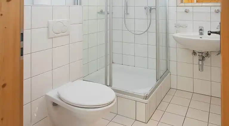 Feriebolig i Ovronnaz