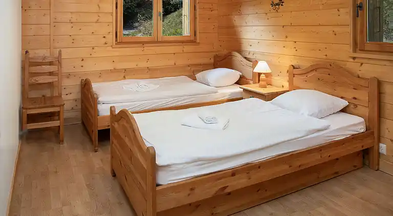 Feriebolig i Ovronnaz