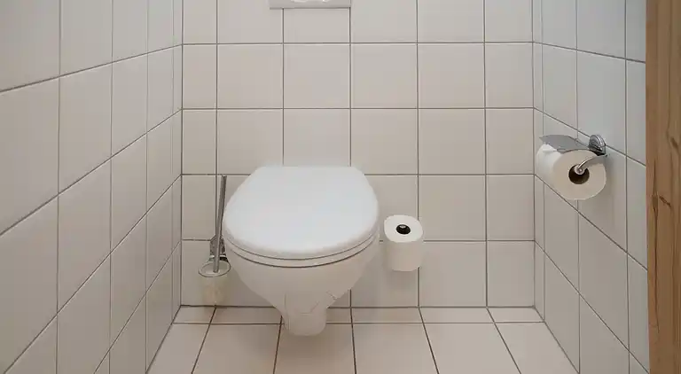 Feriebolig i Ovronnaz