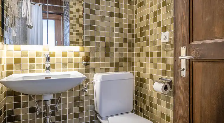 Feriebolig i Ovronnaz