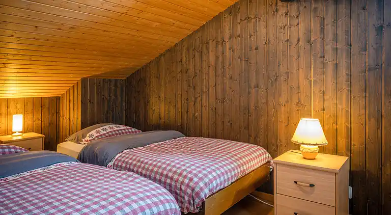 Feriebolig i Ovronnaz