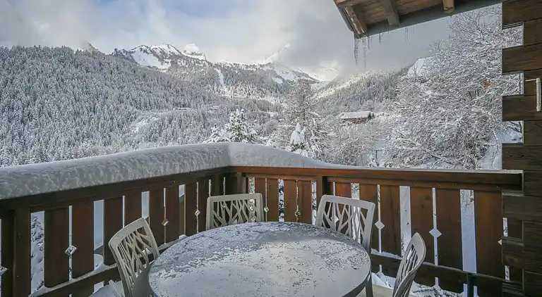 Feriebolig i Ovronnaz