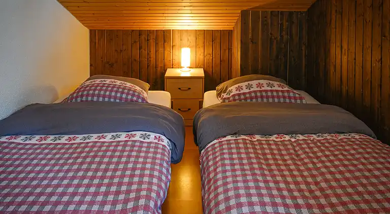 Feriebolig i Ovronnaz