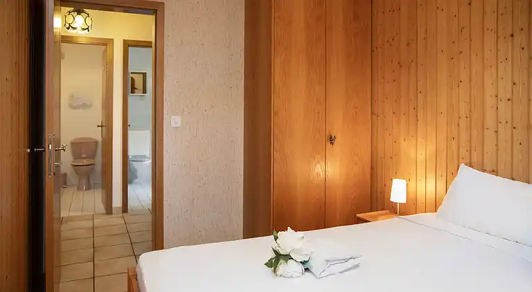 Feriebolig i Ovronnaz