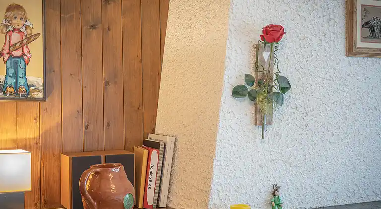 Feriebolig i Leytron