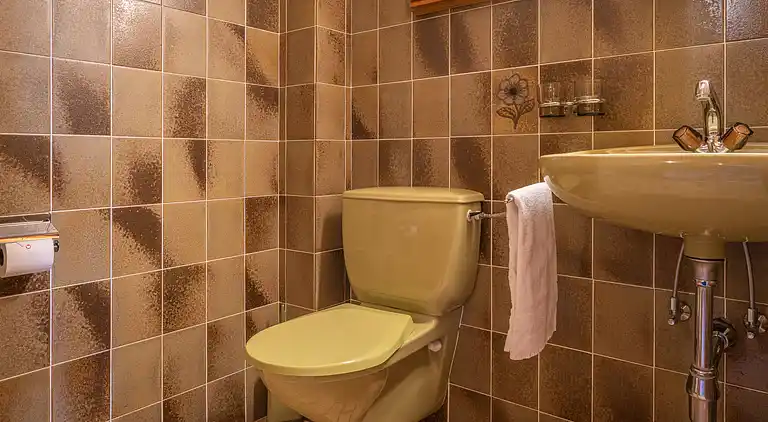 Feriebolig i Ovronnaz