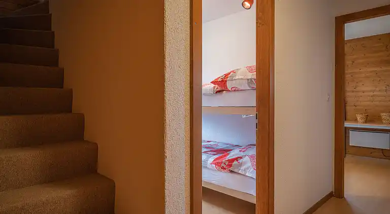 Feriebolig i Ovronnaz