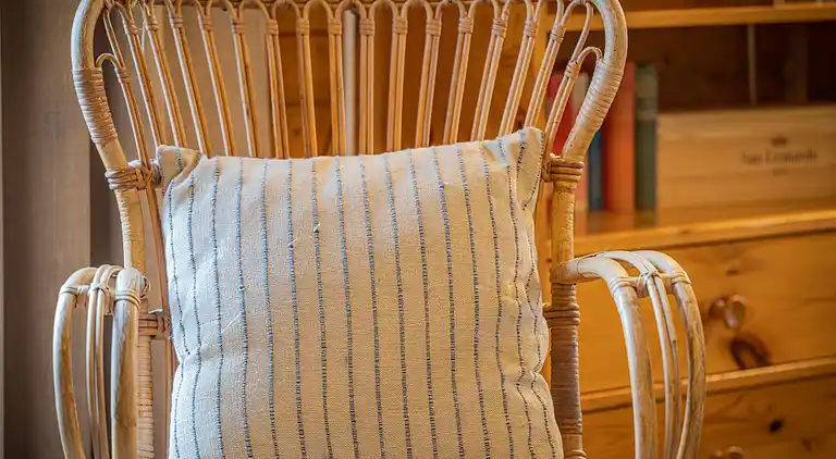 Feriebolig i Ovronnaz