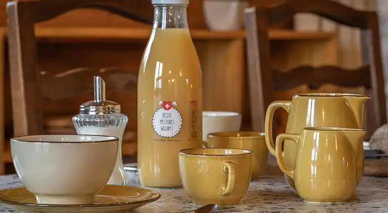 Feriebolig i Ovronnaz