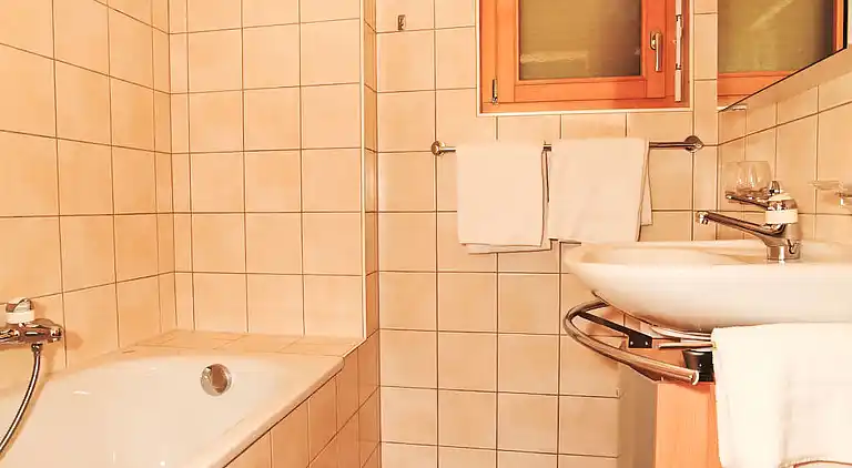 Feriebolig i Ovronnaz