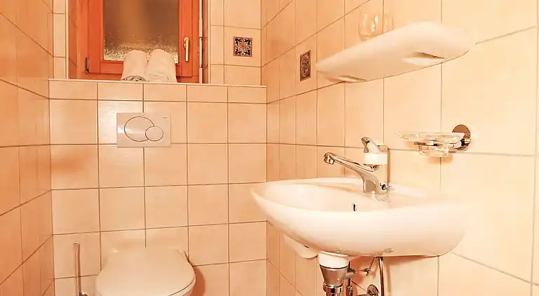 Feriebolig i Ovronnaz