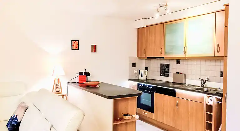 Feriebolig i Leytron