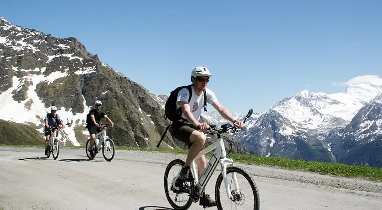 Holiday home in Riddes