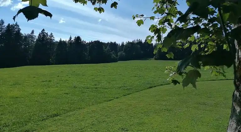 Feriebolig i Les Breuleux