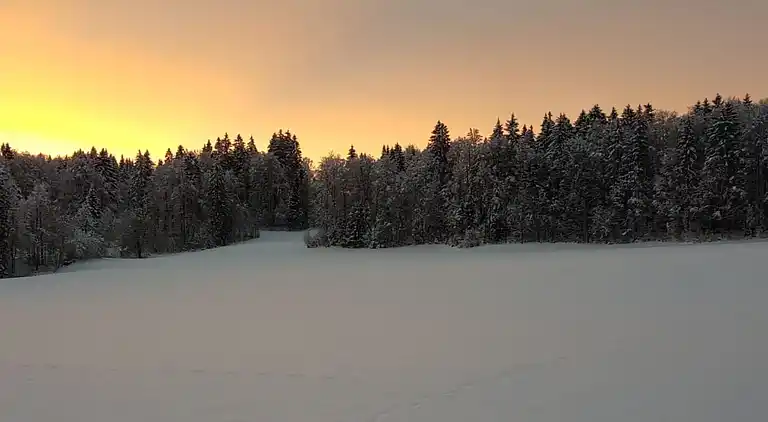 Feriebolig i Les Breuleux