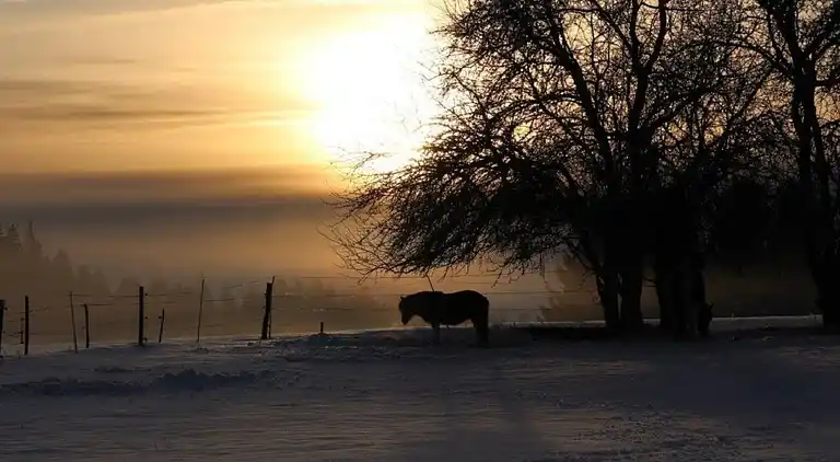 Feriebolig i Montfaucon