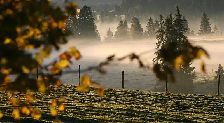 Feriebolig i Montfaucon