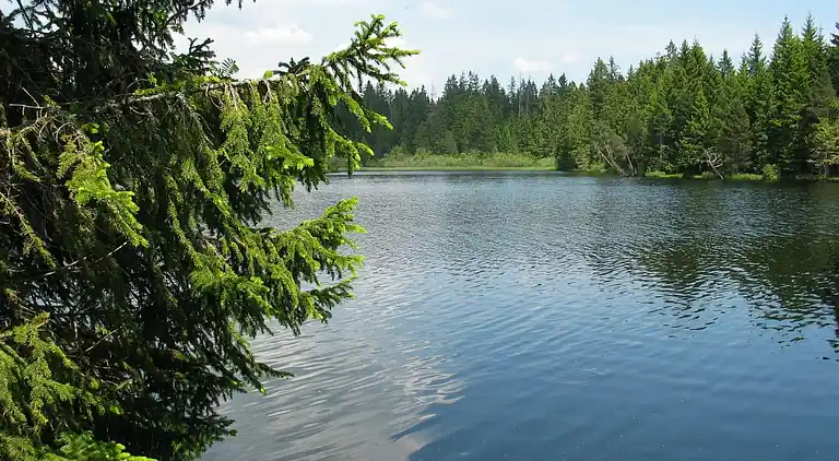 Feriebolig i Montfaucon