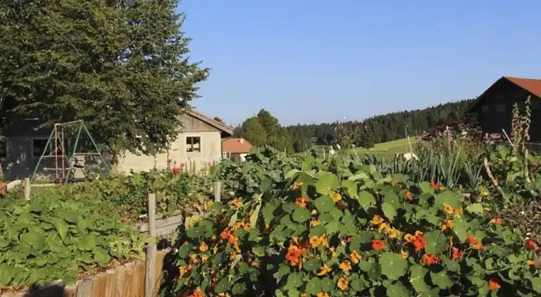 Feriebolig i Montfaucon