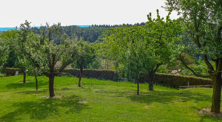 Feriebolig i Courchavon