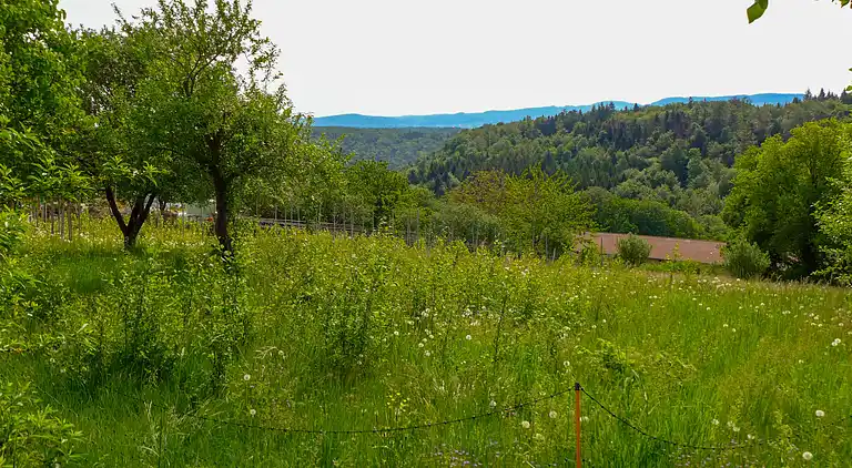 Feriebolig i Courchavon