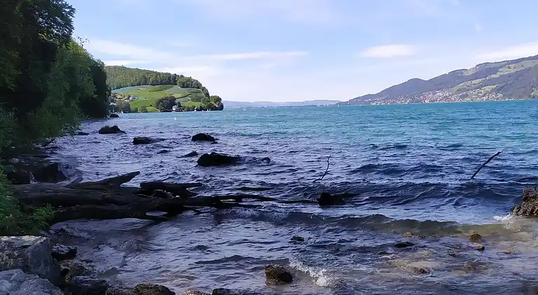 Holiday home in Spiez