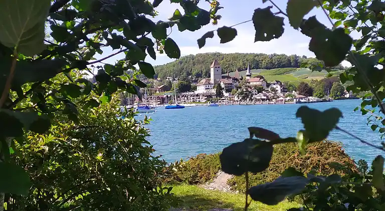 Holiday home in Spiez