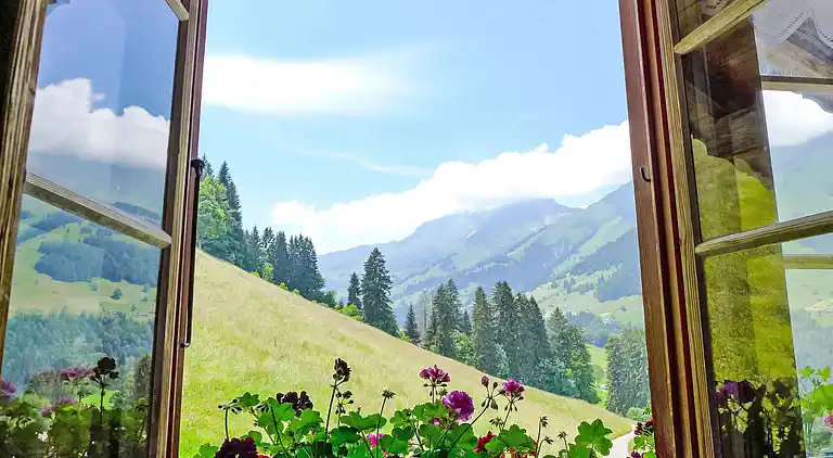 Holiday home in Frutigen