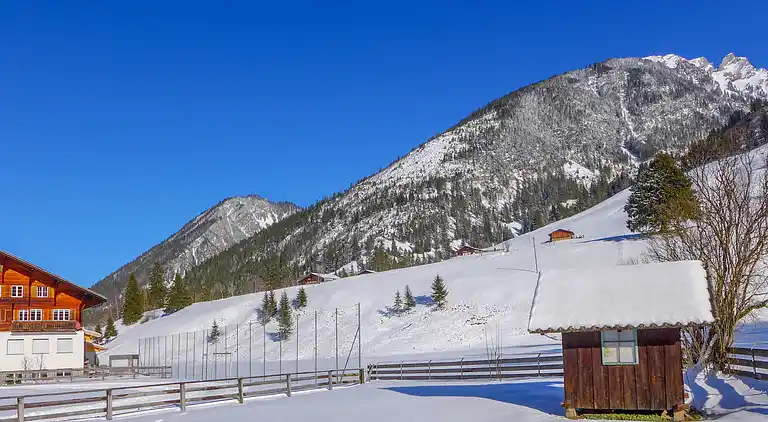 Holiday home in Diemtigen