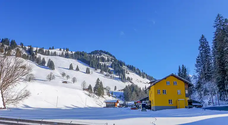 Holiday home in Diemtigen