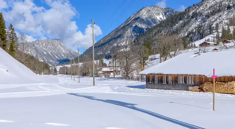 Holiday home in Diemtigen