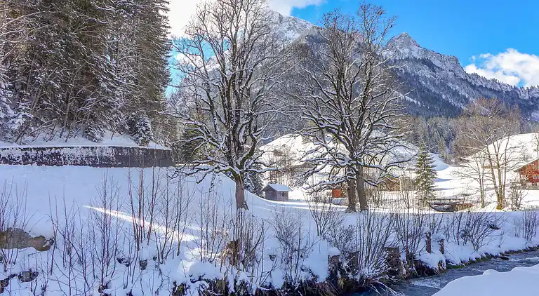 Holiday home in Diemtigen