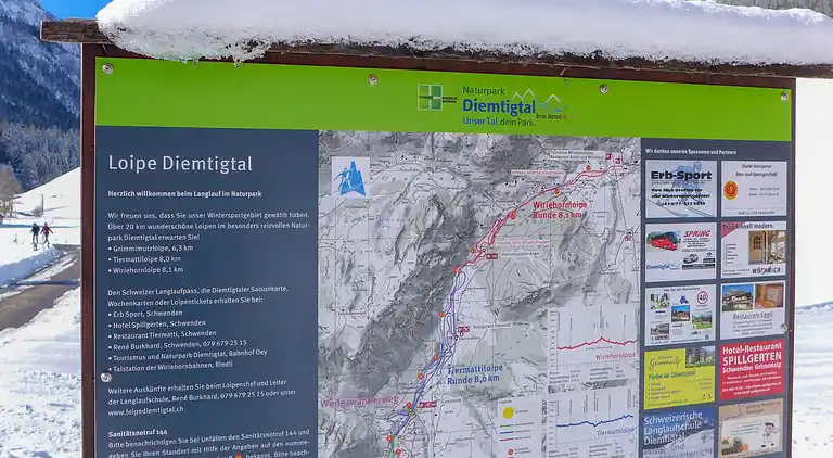 Holiday home in Diemtigen