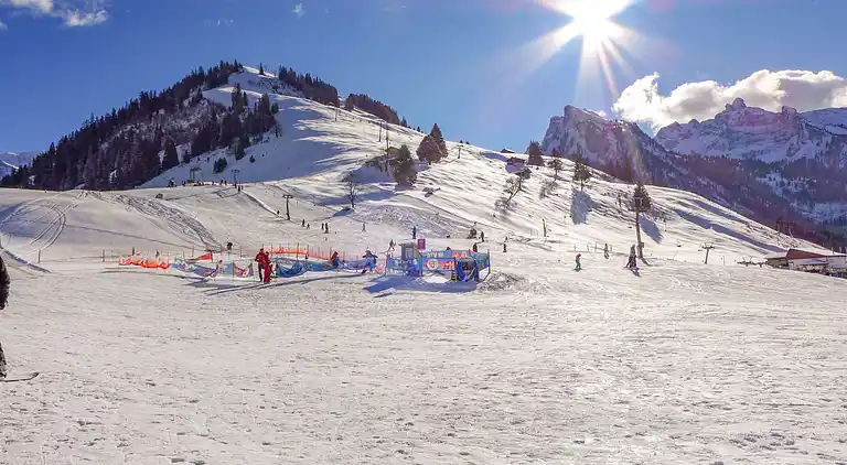 Holiday home in Diemtigen