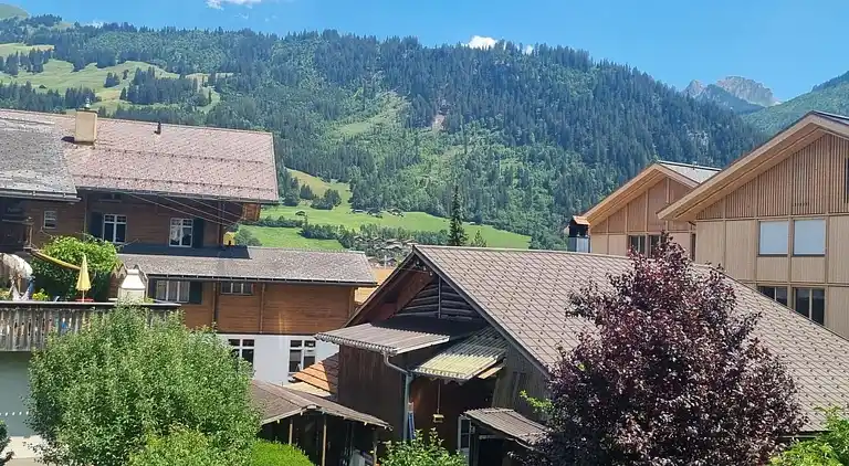 Feriebolig i Zweisimmen