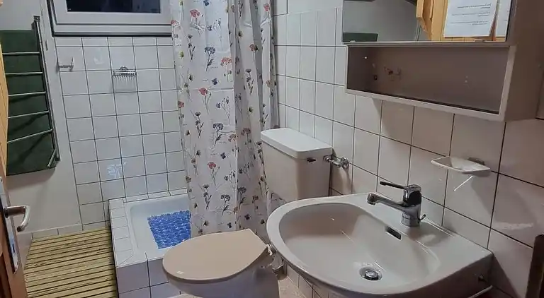 Feriebolig i Zweisimmen