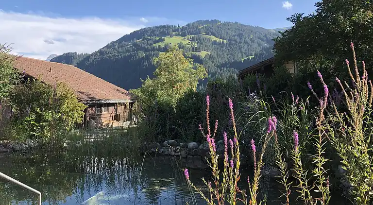 Feriebolig i Saint Stephan