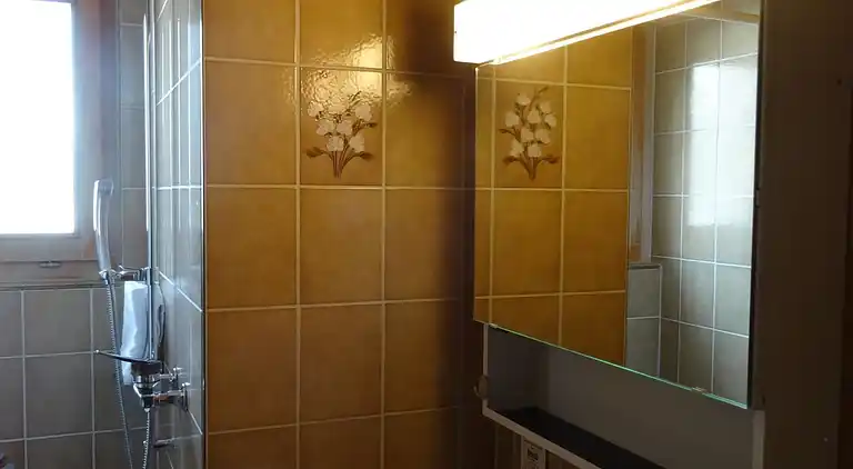 Holiday home in Lenk im Simmental