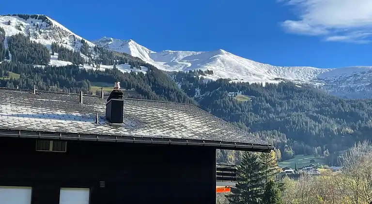 Feriebolig i Lenk im Simmental