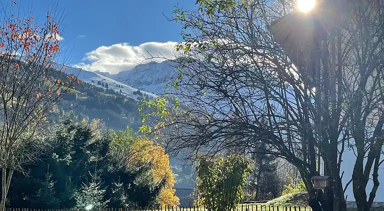 Feriebolig i Lenk im Simmental